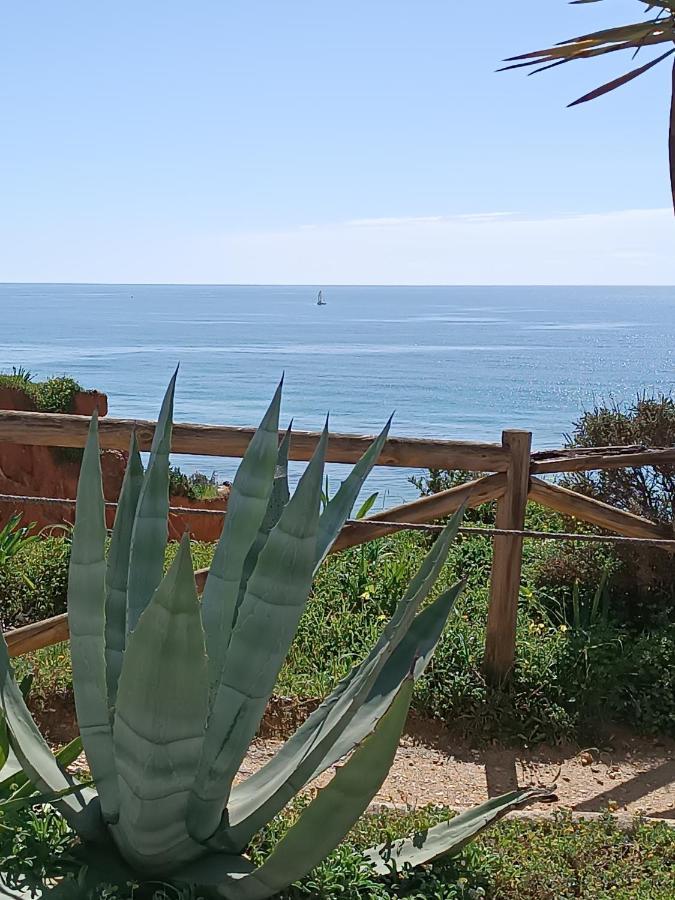 Mar A Vista Algarve Summer Portimão Dış mekan fotoğraf